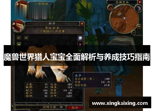 魔兽世界猎人宝宝全面解析与养成技巧指南 魔兽世界猎人宝宝全面解析与养成技巧指南